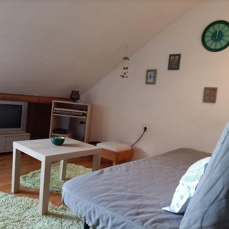 Apartman Lara Bělehrad Exteriér fotografie